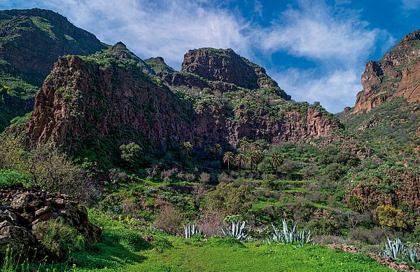 Barranco de Guayadeque