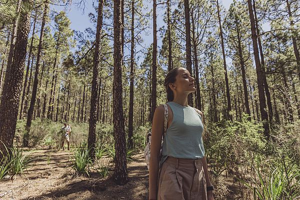 Respirando el aire de los pinares de Gran Canaria.