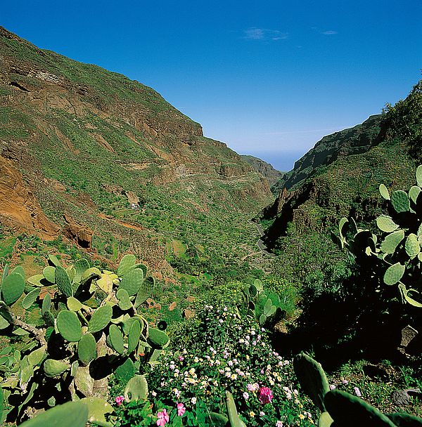 Barranco de Guayadeque