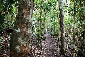 Espaços Naturais