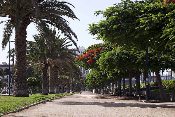 Parque Romano