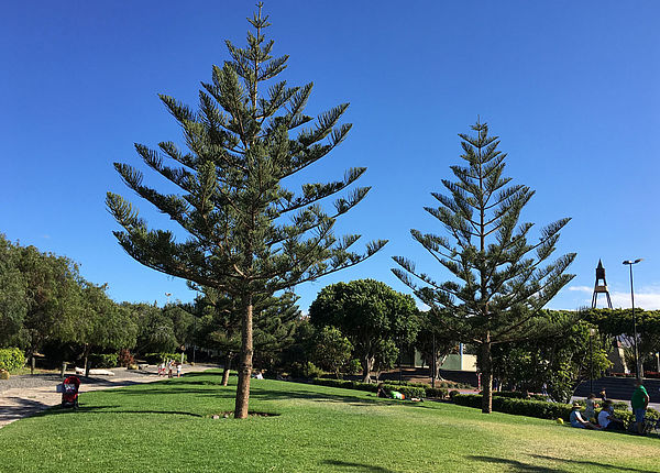 Parque de San Juan