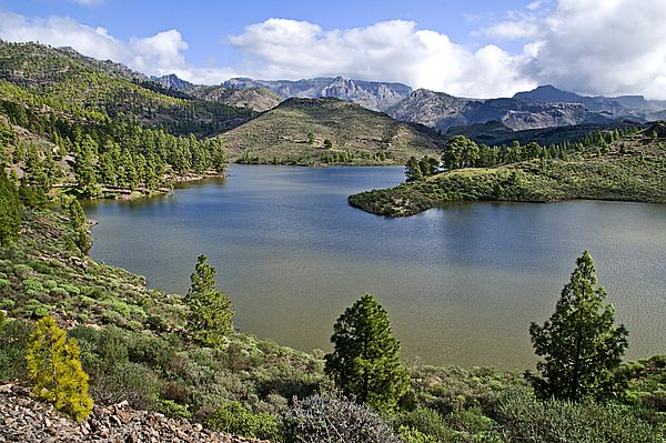 Presa de Las Niñas