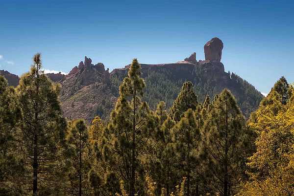 Roque Nublo y Pinar