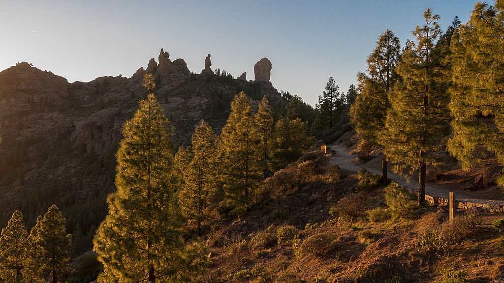 View of the path to Roque Nublo.