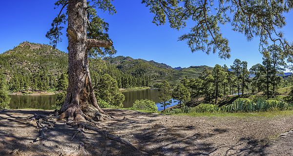 Presa de Las Niñas