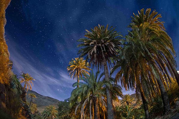 Palmeto di notte a Sorrueda, Gran Canaria