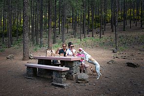 De picnic con tu mascota