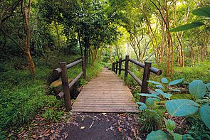 Naturaleza en Gran Canaria