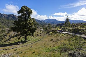 Presa de Las Niñas