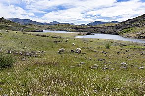 Presa de Las Niñas