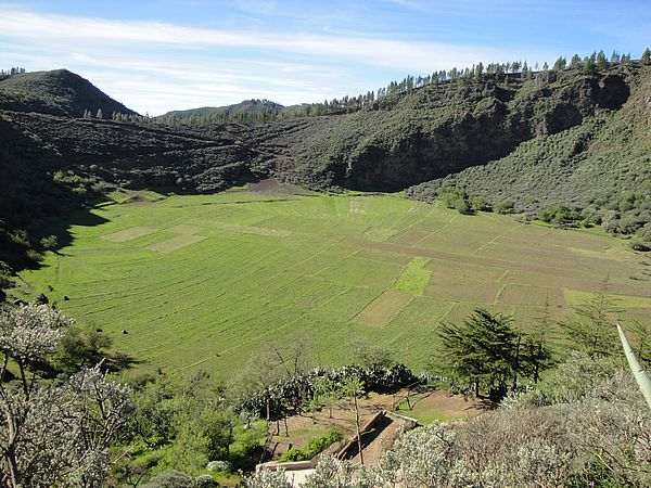 Caldera de Los Marteles