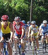 Groupe de cyclistes