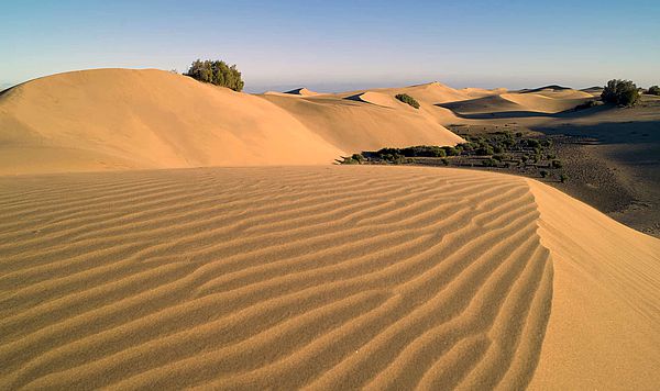 Dunas de Maspalomas Gran Canaria