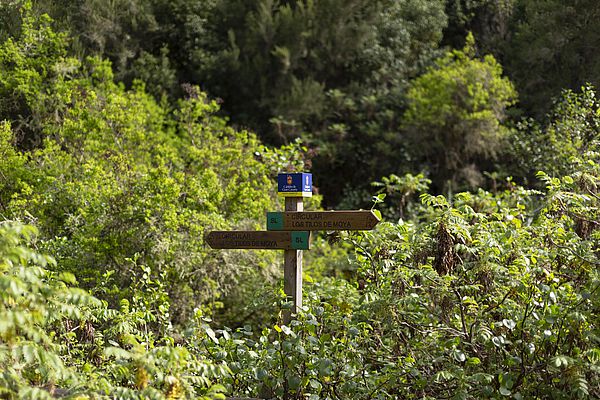 Senderismo en Tilos de Moya