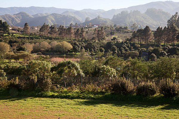 Valleseco