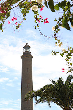 Fotografía de Faro entre flores