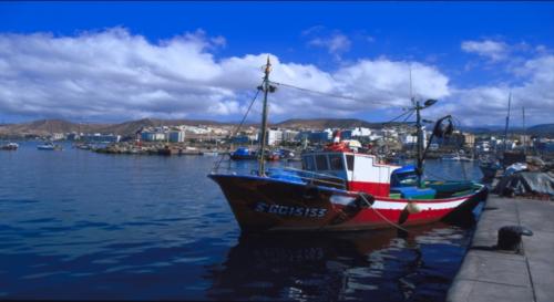 Tuna Fair