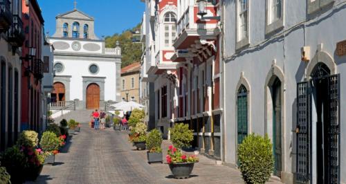 Fiestas del Agricultor - Vega de San Mateo