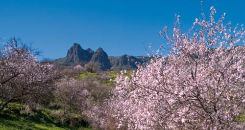 Fiestas de la Ruta del Almendrero en Flor - Valsequillo