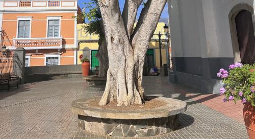 Fiestas Patronales de Nuestra Señora del Buen Suceso, San Roque y 'San Haragán'