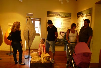 Museo Etnográfico - Centro de interpretación de Valleseco (MECIV) 