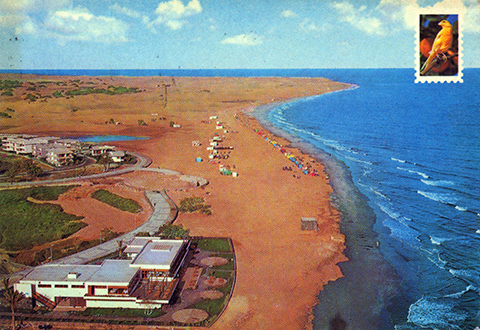 Maspalomas desde el Faro 1973. Fuente: FEDAC