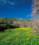 Valsequillo de Gran Canaria ontdekken