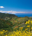 Upptäck Valsequillo de Gran Canaria