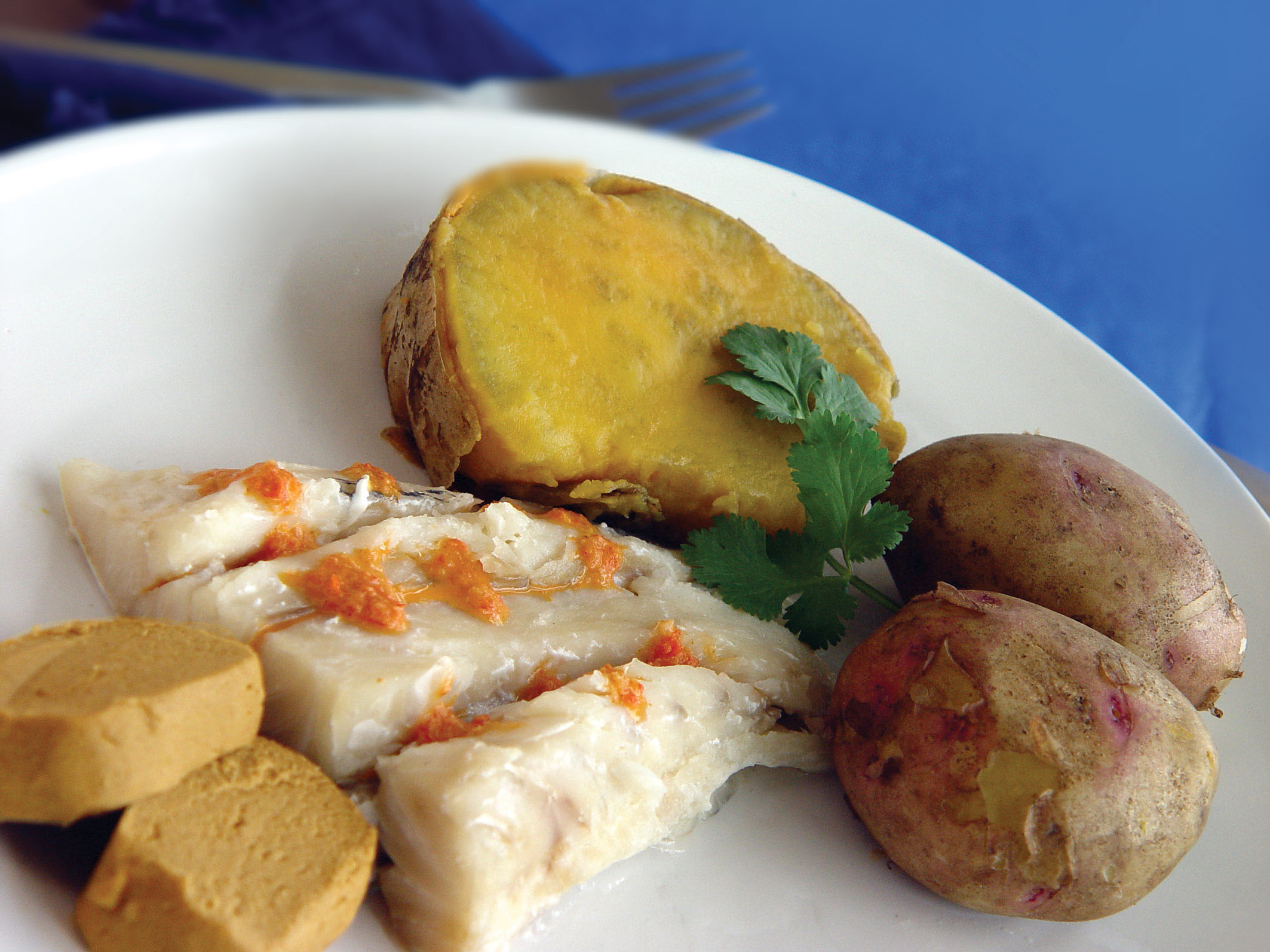 Sancocho