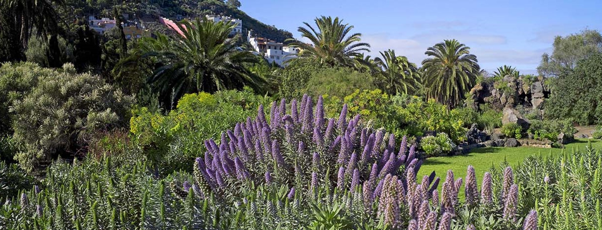 Gran Canaria