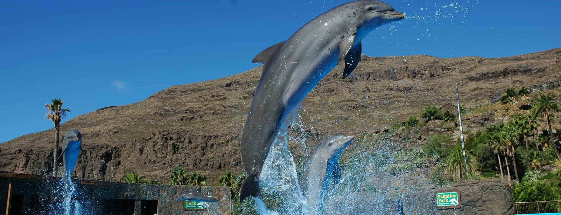 Gran Canaria