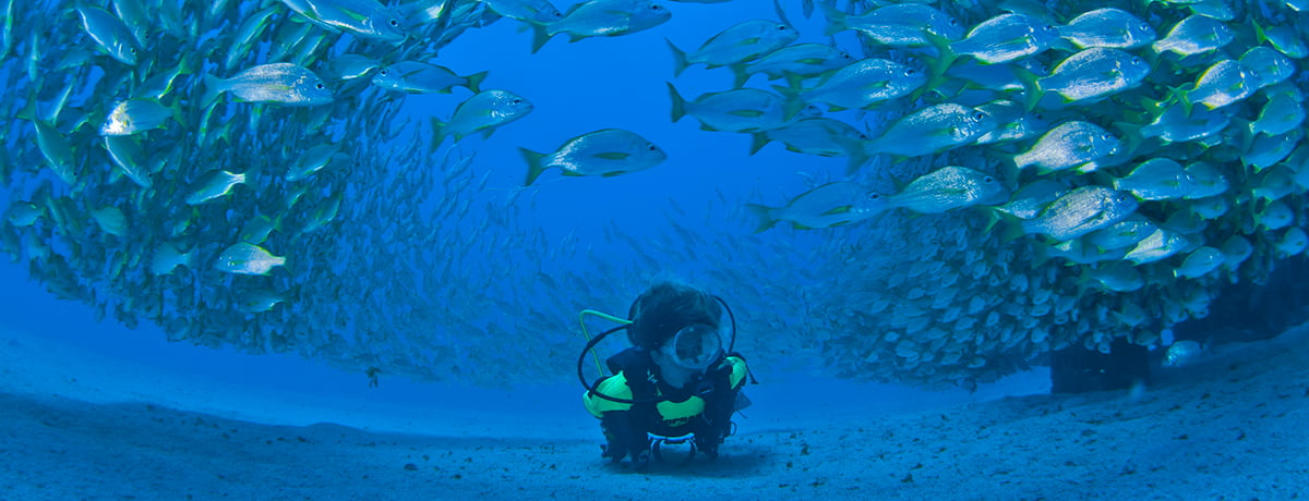 Gran Canaria