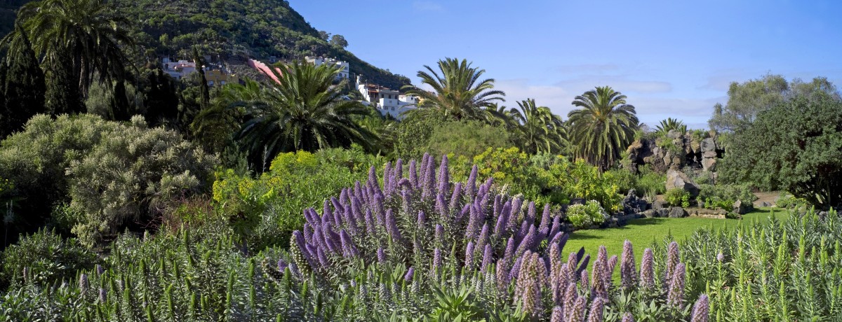 Gran Canaria