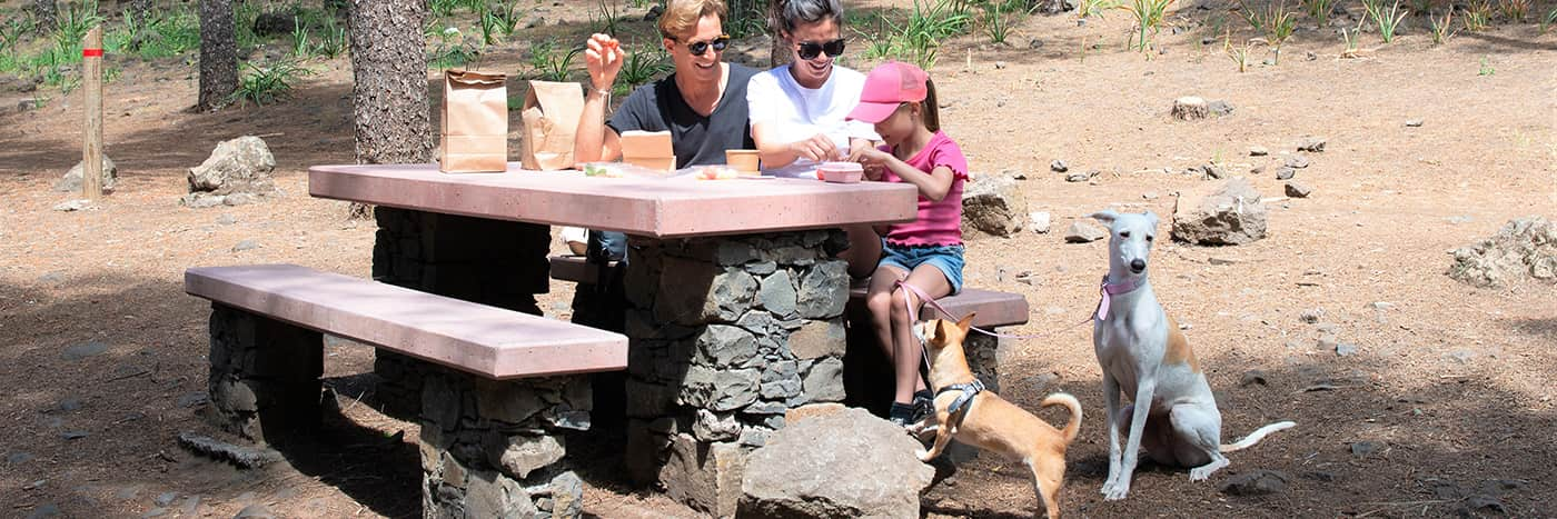 Family having lunch with their pets