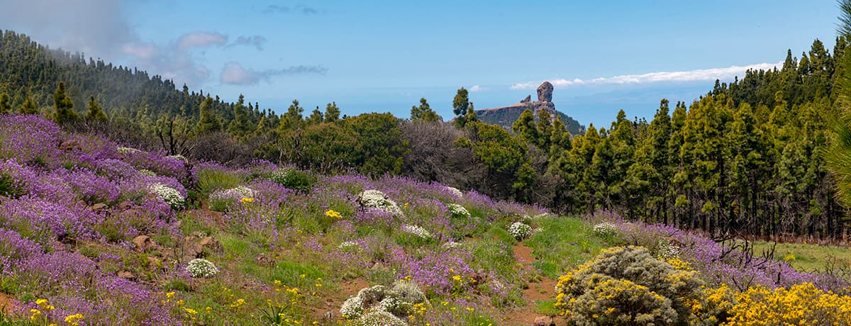 Gran Canaria