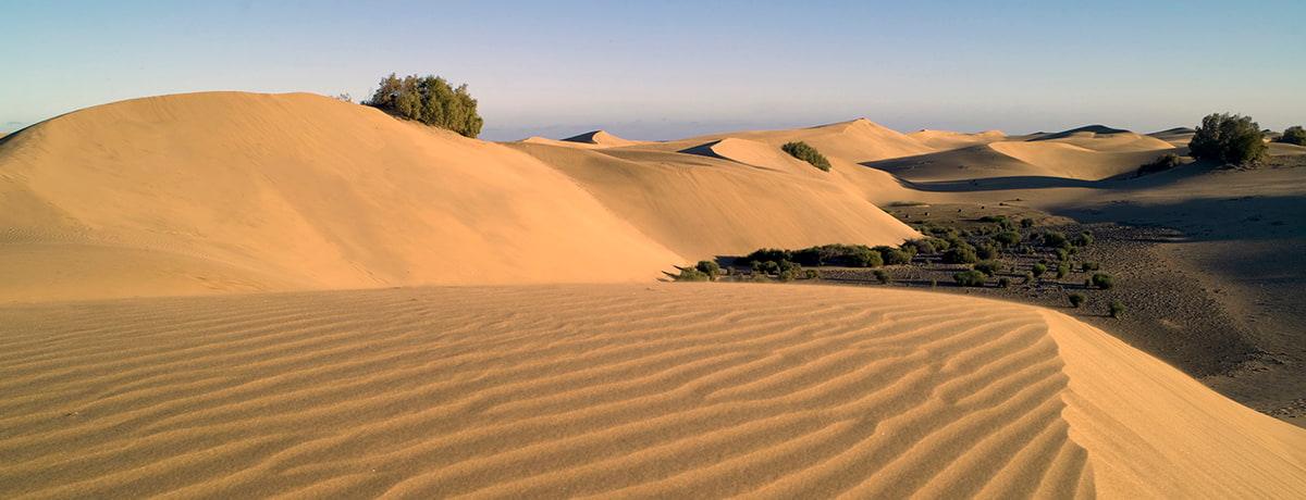 Gran Canaria