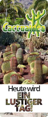 Cactualdea