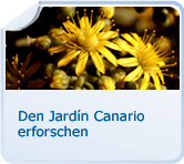 Den Jardin Canario erforschen