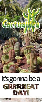 Cactualdea