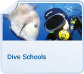 Scuba-diving