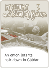 An onion lets its hair down in Gáldar
