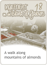 A walk along mountains of almonds