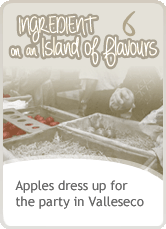 Apples dress up for the party in Valleseco