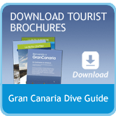 Gran Canaria Dive Guide