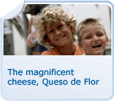 The magnificent cheese, Queso de Flor
