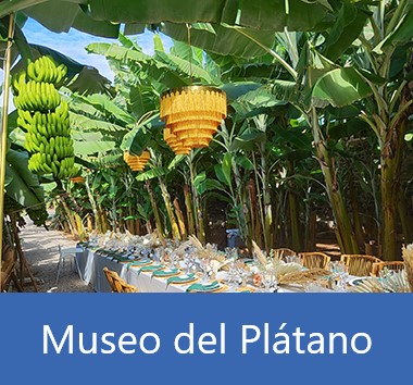 Museo del Plátano