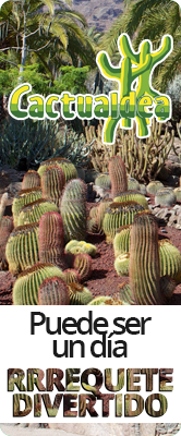 Cactualdea