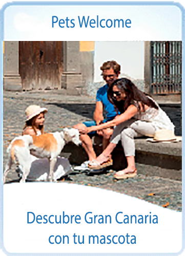 Descubre Gran Canaria con tu mascota