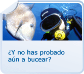 Submarinismo